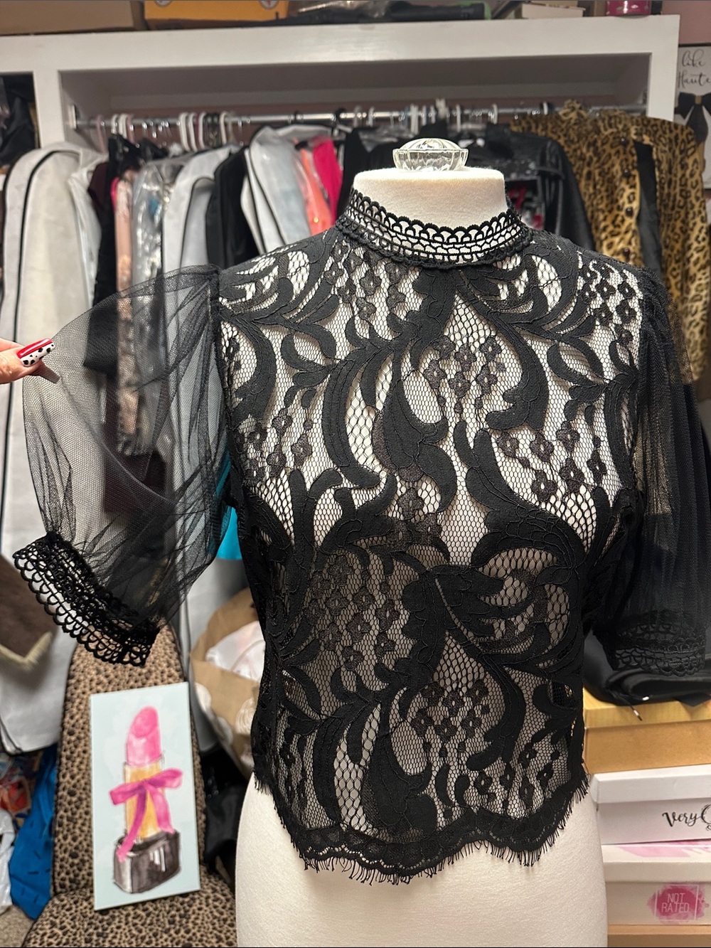 Sheer Black Lace Puff Sleeve Blouse with High Neck